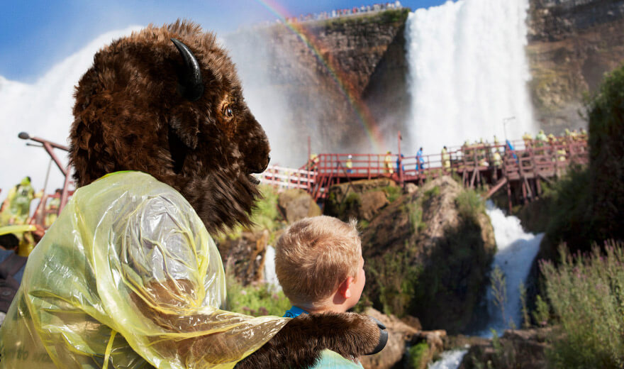 Unexpected Buffalo at Niagara Falls